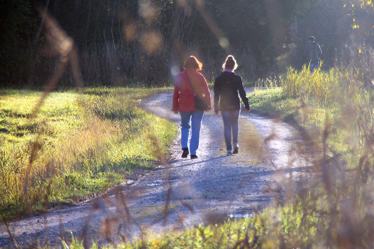 wandern-am-samerberg