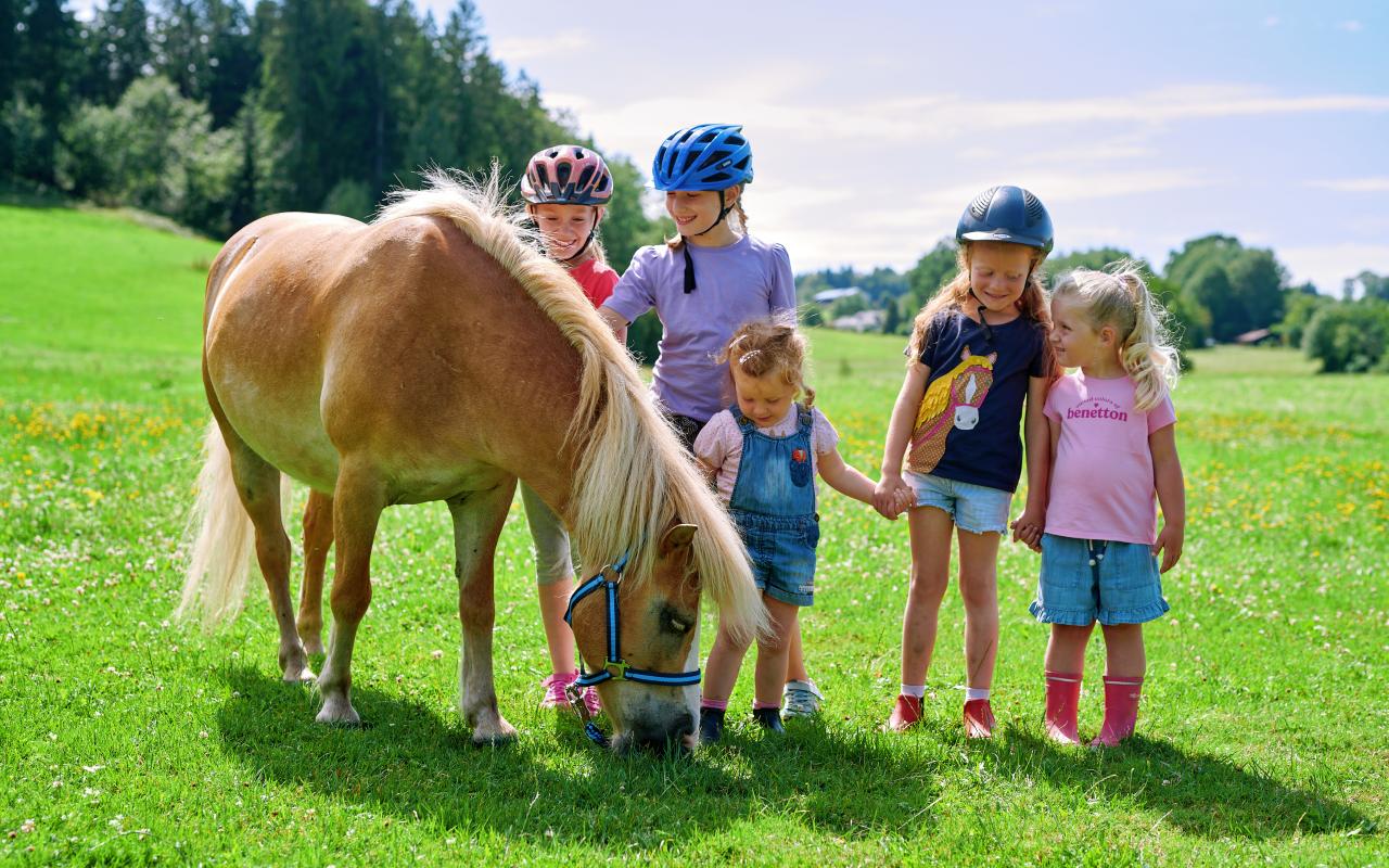 msb-2023-07-hanznhof-ponys-fuehren-04-2