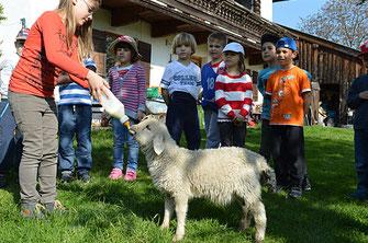 kinderfreundlicher-bauernhof-in-oberaudorf