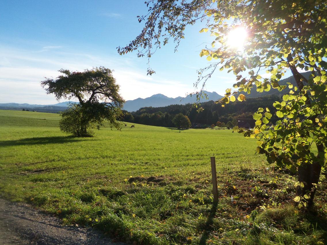 05-schusterhof-chiemsee-umgebung