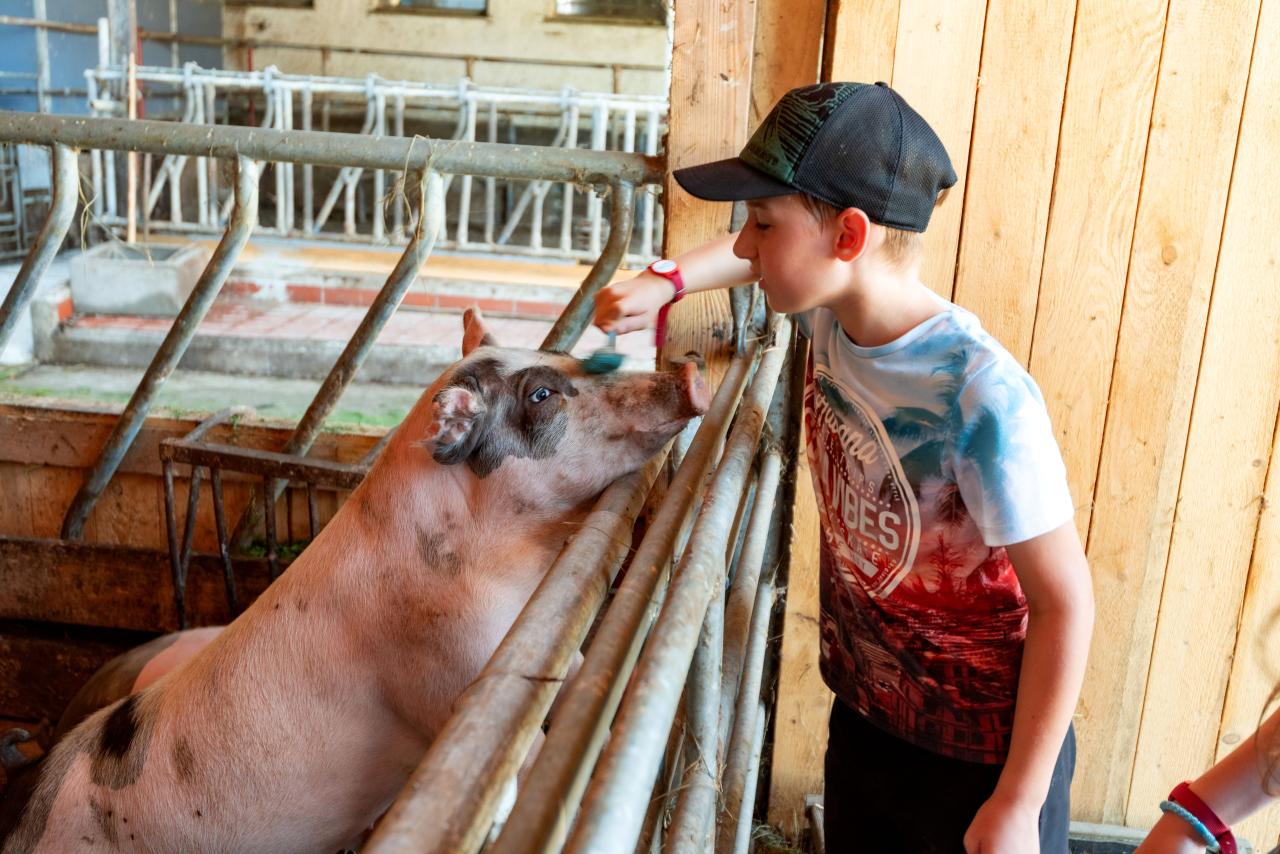 seimehof-wimpasing-1-bernau-chiemsee-allgemein-kinder-tiere-spielplatz-26-kopie