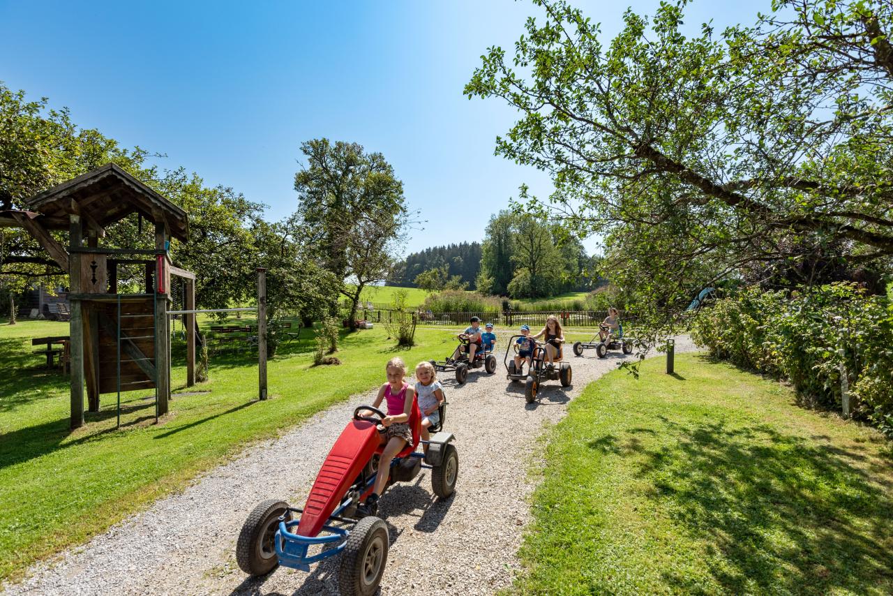 seimehof-wimpasing-1-bernau-chiemsee-allgemein-kinder-tiere-spielplatz-33