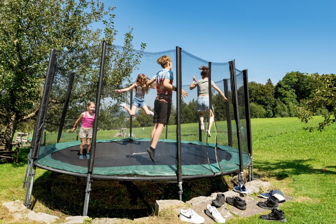 seimehof-wimpasing-1-bernau-chiemsee-allgemein-kinder-tiere-spielplatz-41