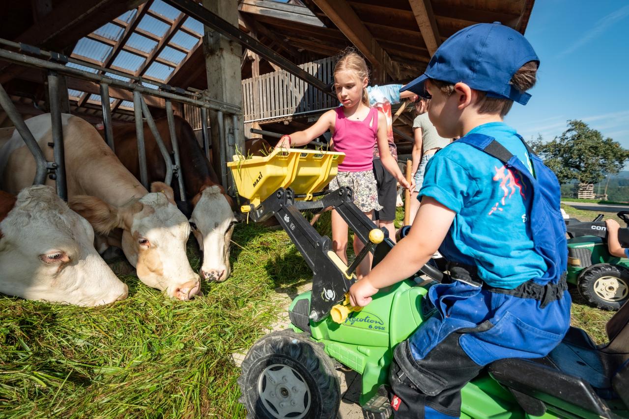 seimehof-wimpasing-1-bernau-chiemsee-allgemein-kinder-tiere-spielplatz-7