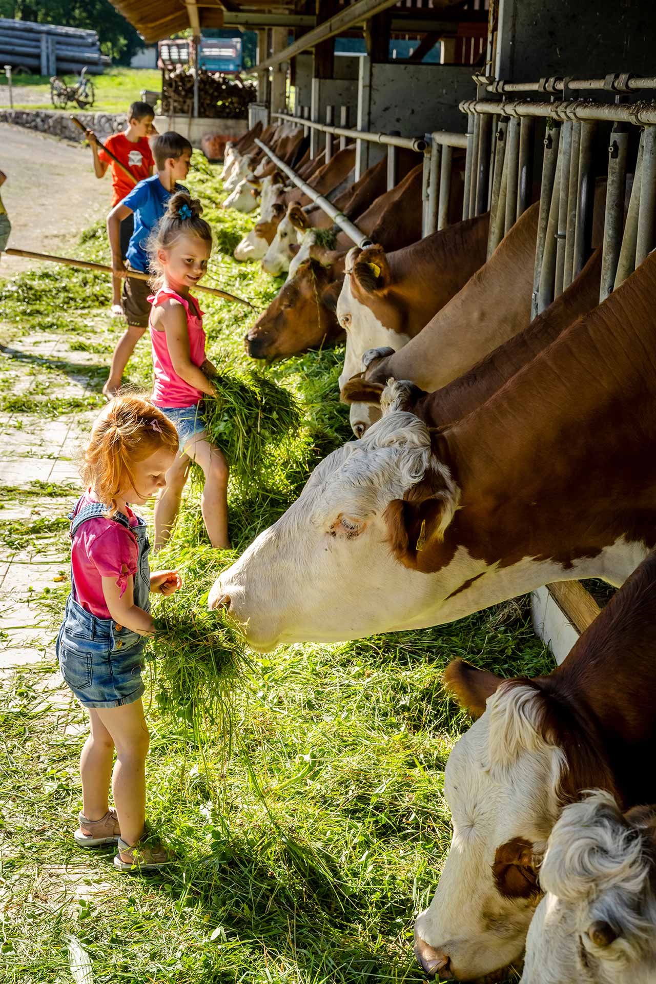 Unvergessliche Erinnerungen für Groß & Klein