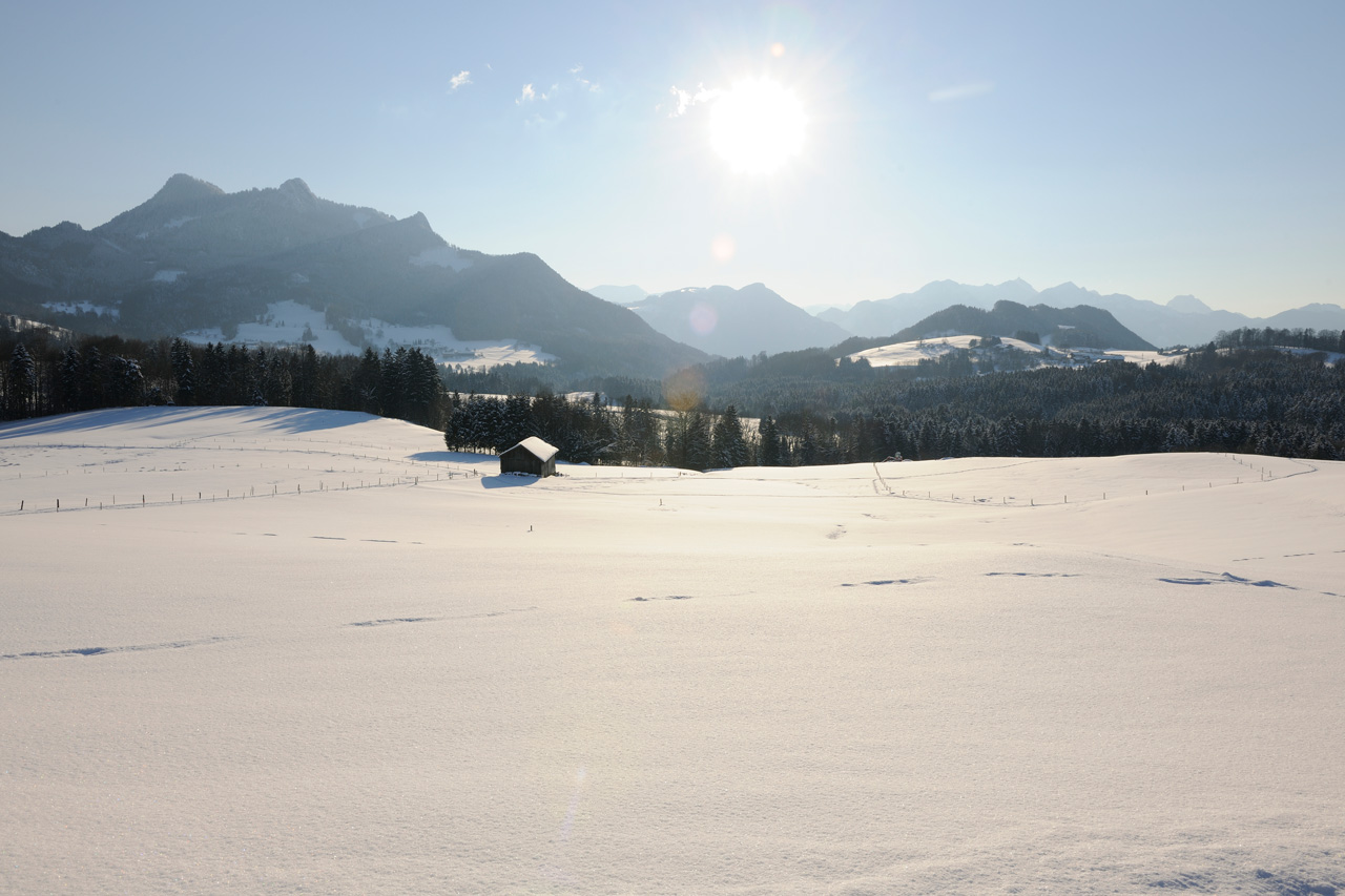 Bayerischer Winter